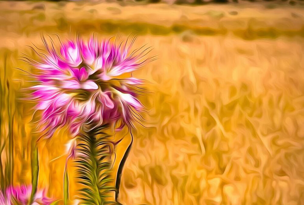 Beauty for Ashes